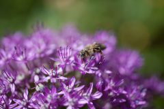 3EBF79C0-C206-44F6-B1FE-25BB6A4A9B5B-scaled