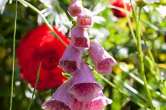 6E871F8B-A0C9-41EC-A7E6-575EC65C40D8-scaled