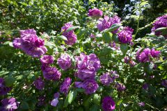 88C31CF0-A6A2-448C-BC86-A47FF2E50952-scaled