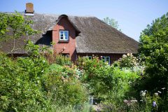 AF89F457-89F9-4C91-A643-07C74B4B72D4-scaled