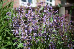 C3A5A678-E80D-477A-ABAA-520E21BD9FD2-scaled