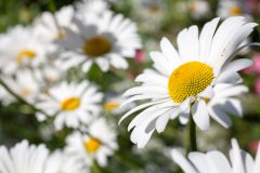 F4C15374-DBAD-46E5-B1A1-0967497A6288-scaled